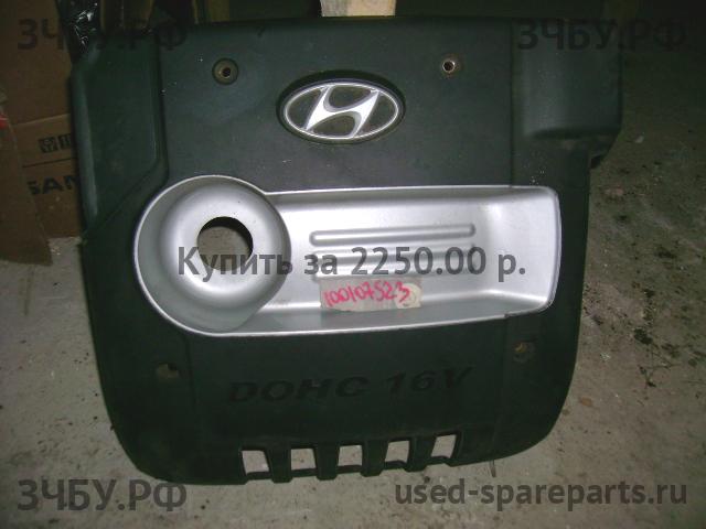 Hyundai Santa Fe 1 (SM) Кожух двигателя (накладка, крышка на двигатель)