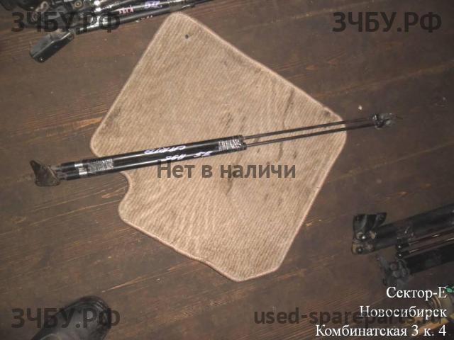 Toyota Carib Накладка на крышку багажника