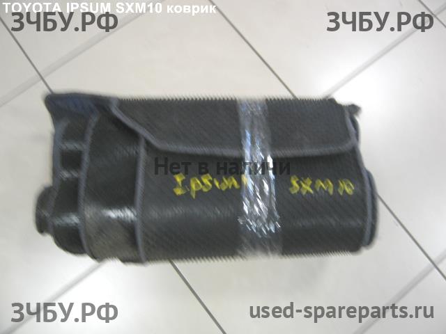Toyota Ipsum 1 Коврики салона (комплект)
