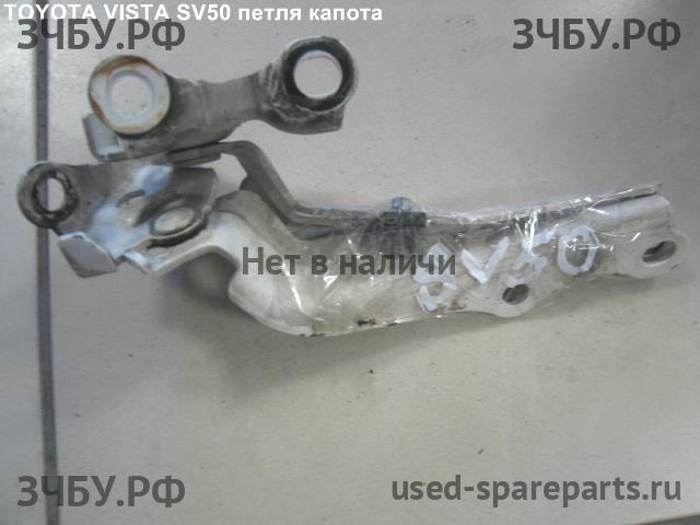 Toyota Vista/Vista Ardeo (V50) Петля капота