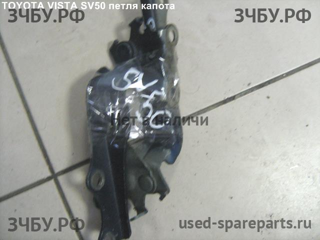 Toyota Vista/Vista Ardeo (V50) Петля капота