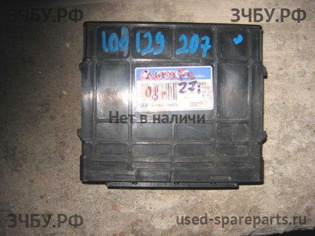 Hyundai Santa Fe 1 (SM) Блок управления двигателем