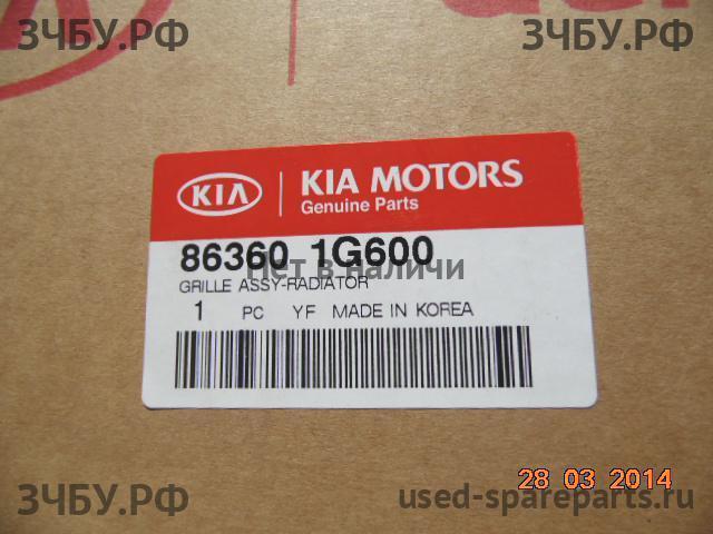 KIA Rio 2 Решетка радиатора