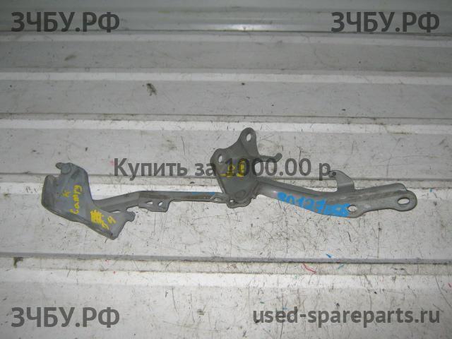 Toyota Camry 5 (V30) Петля капота
