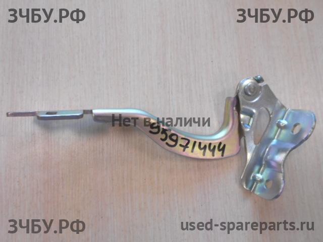 Chevrolet Aveo 2 (T250) Петля капота левая