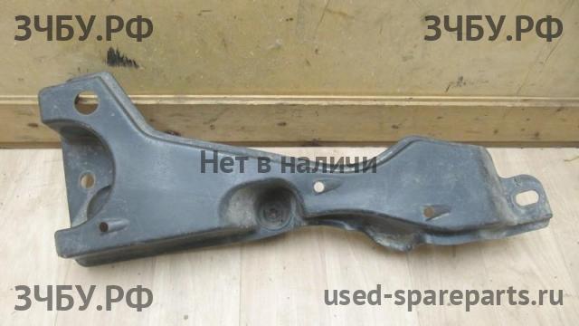 Toyota RAV 4 (3) Пыльник