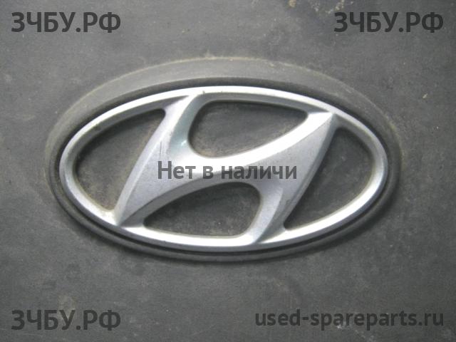 Hyundai Santa Fe 1 (SM) Кожух двигателя (накладка, крышка на двигатель)