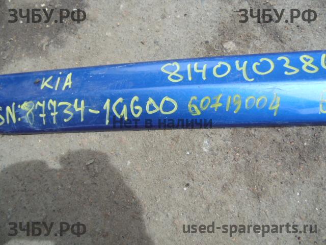 KIA Rio 3 Молдинг двери