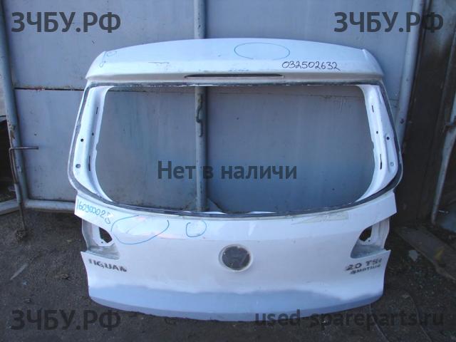 Volkswagen Tiguan 1 (Рестайлинг) Дверь багажника