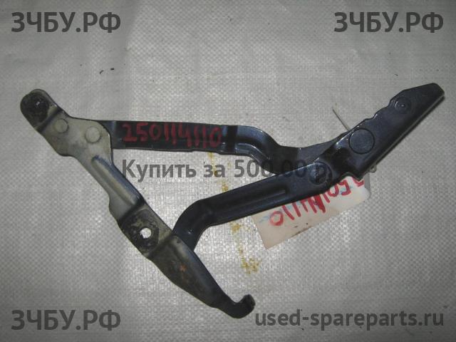 Volkswagen Passat B5 Петля крышки багажника