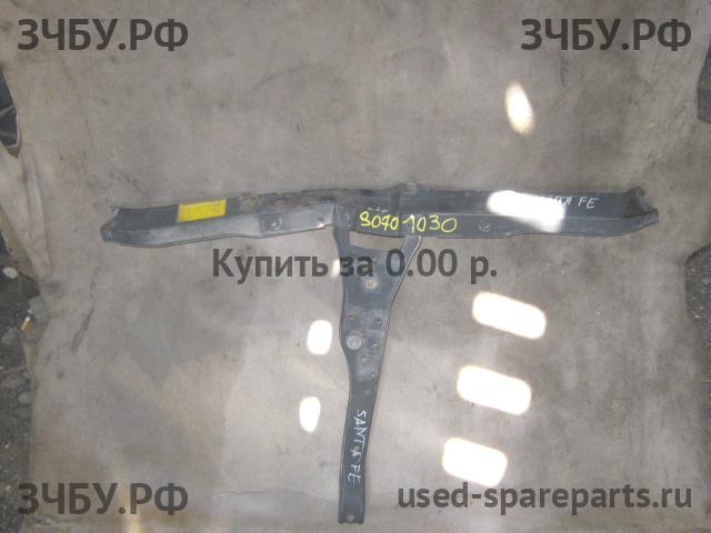 Hyundai Santa Fe 1 (SM) Панель передняя (телевизор)