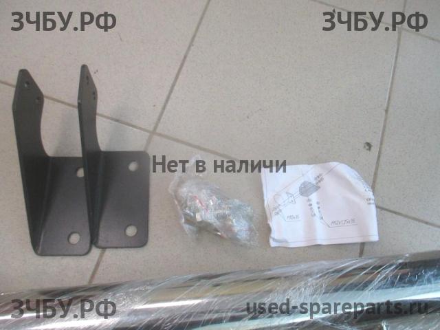 Toyota RAV 4 (2) Кенгурятник