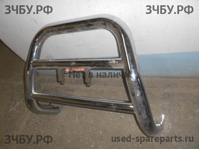 Toyota RAV 4 (2) Кенгурятник
