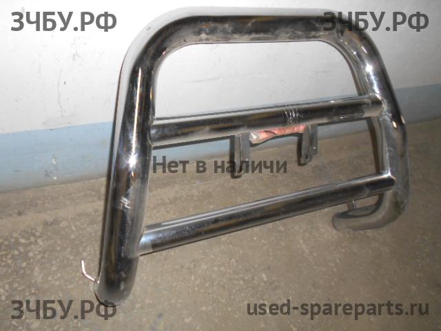 Toyota RAV 4 (2) Кенгурятник