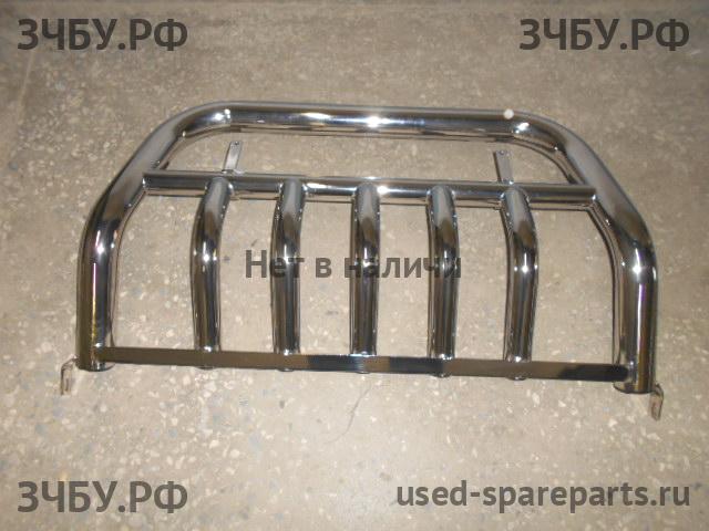 Toyota RAV 4 (3) Кенгурятник