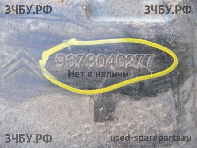 Citroen C4 (2) Панель передняя (телевизор)