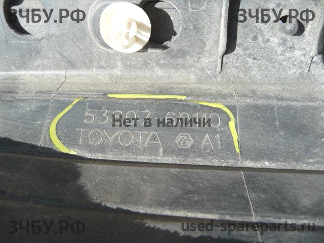 Toyota Land Cruiser 150 (PRADO) Пыльник
