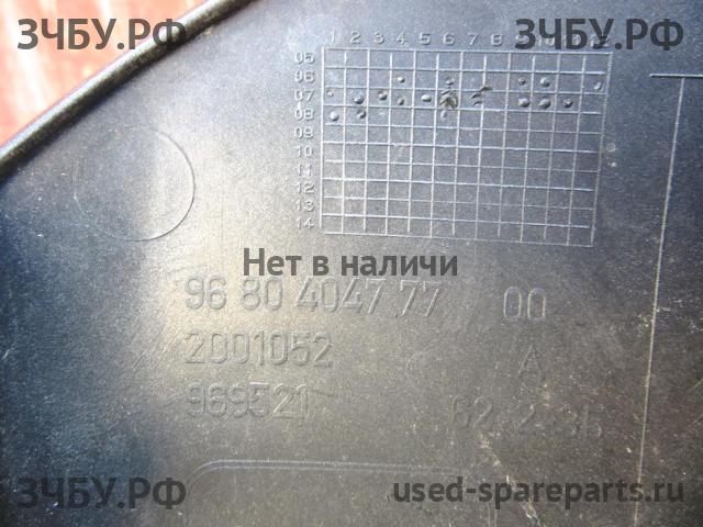 Citroen C4 Picasso (1) Накладка переднего бампера
