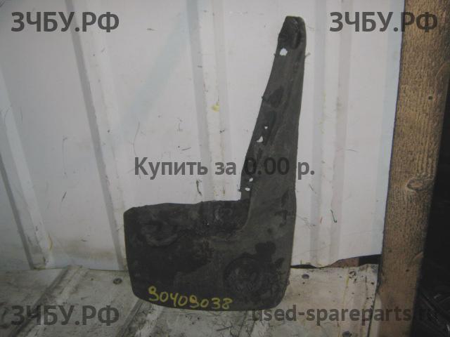 Volkswagen Определить Брызговик (комплект)