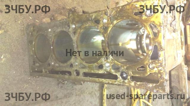 Renault Megane 2 Блок двигателя (блок ДВС)
