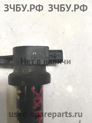 Hyundai Santa Fe 2 (CM) Катушка зажигания