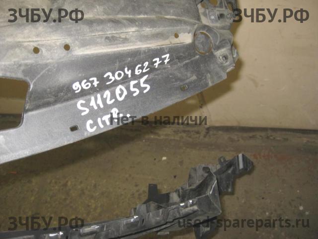 Citroen C4 (2) Панель передняя (телевизор)