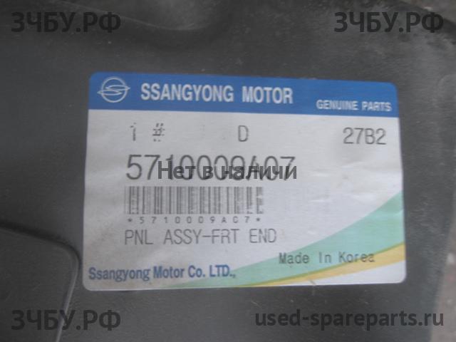SsangYong Kyron Панель передняя (телевизор)