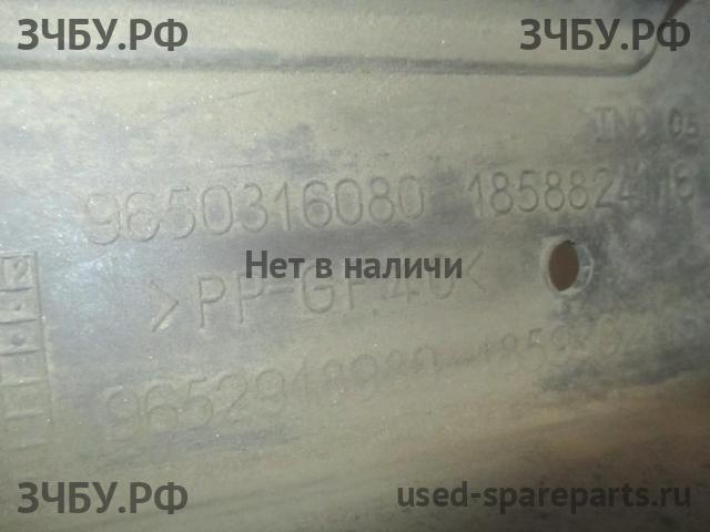 Peugeot 308 Панель передняя (телевизор)