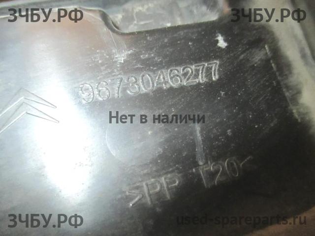Citroen C4 (2) Панель передняя (телевизор)