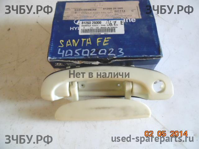 Hyundai Santa Fe 1 (SM) Ручка двери задней наружная левая