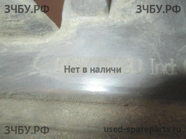 Peugeot 207 Панель передняя (телевизор)