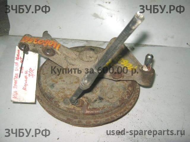 KIA Spectra Кулак задний правый