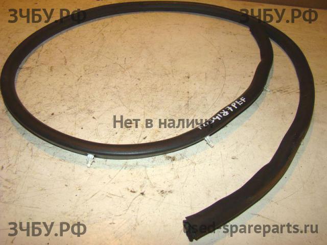 Nissan Pathfinder 2 (R51) Уплотнитель