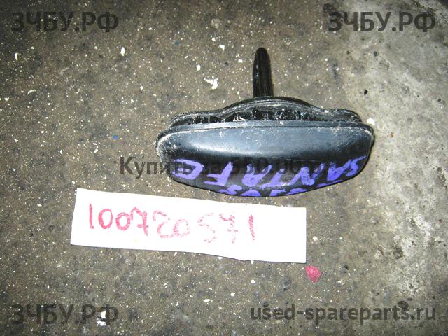 Hyundai Santa Fe 1 (SM) Ручка двери багажника наружная