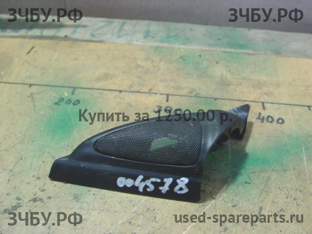 Toyota Land Cruiser 100 Заглушка