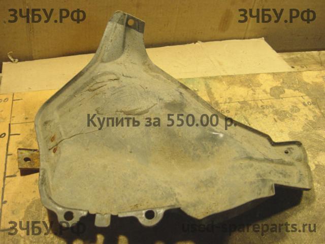 Toyota Land Cruiser 100 Пыльник