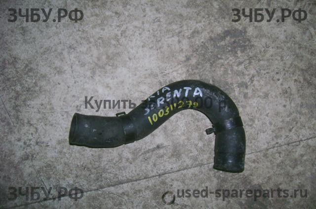 KIA Sorento 1 Патрубок