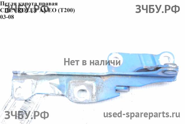 Chevrolet Aveo 1 (T200) Петля капота правая