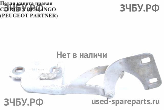 Citroen Berlingo 1 (M49) Петля капота правая