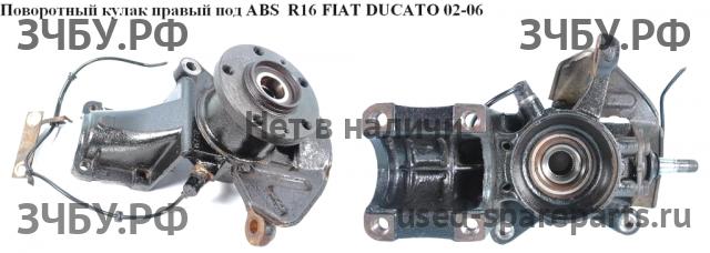 Fiat Ducato 4 Кулак поворотный