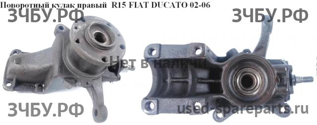 Fiat Ducato 4 Кулак поворотный