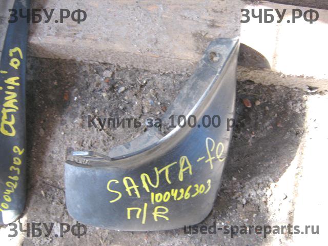 Hyundai Santa Fe 1 (SM) Брызговик задний правый
