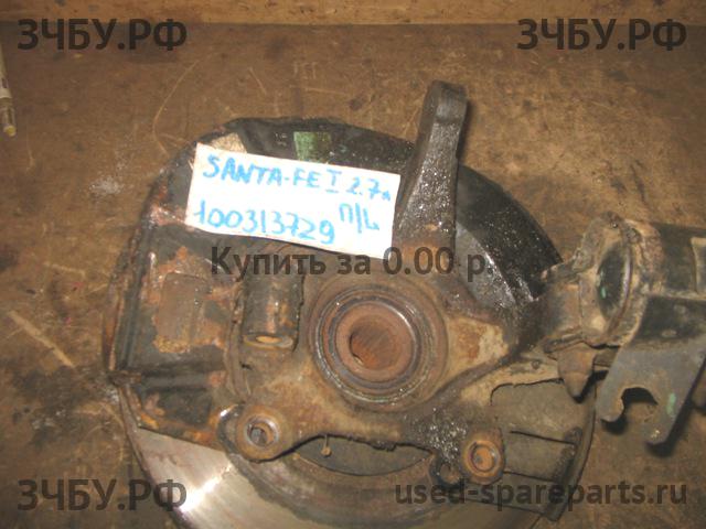 Hyundai Santa Fe 1 (SM) Кулак поворотный передний левый (со ступицей)