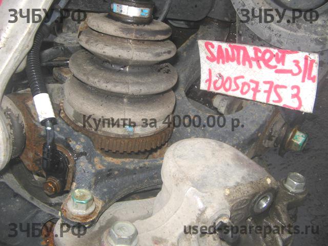 Hyundai Santa Fe 2 (CM) Кулак задний левый