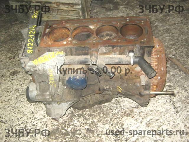 Renault Scenic 2 Блок двигателя (блок ДВС)