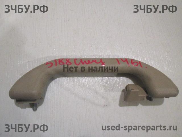 Chery Fora (A21) Ручка внутренняя потолочная