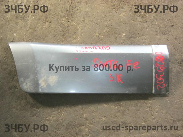 Hyundai Santa Fe 1 (SM) Накладка двери задней правой
