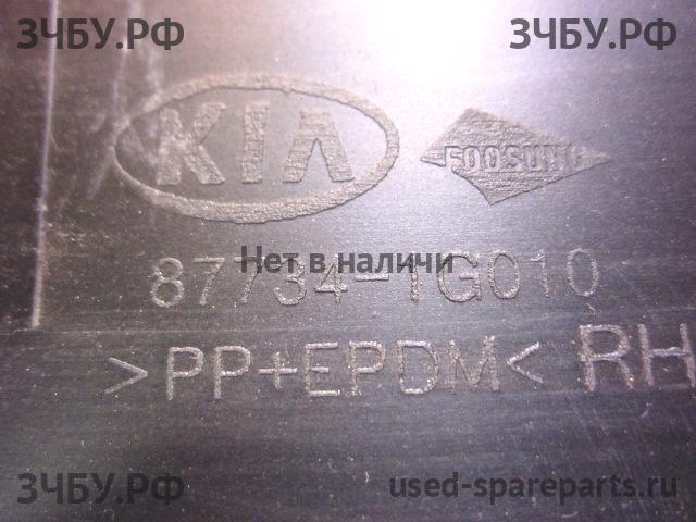 KIA Rio 2 Молдинг двери задней правой