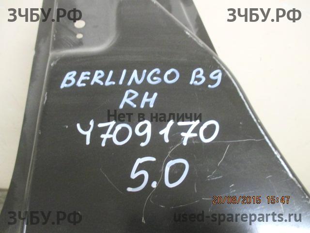 Citroen Berlingo 2 (B9) Порог правый