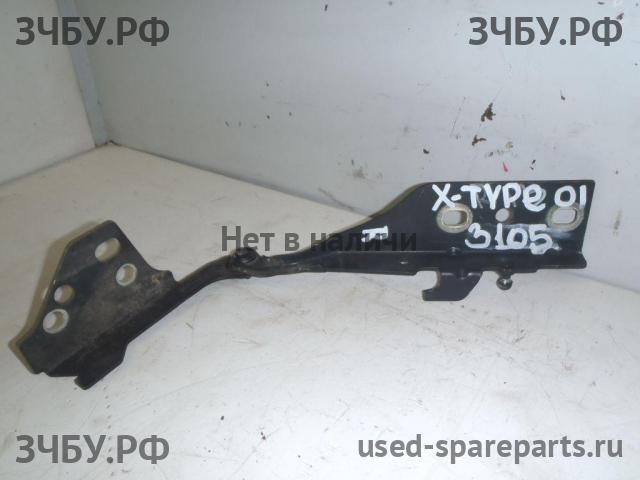 Jaguar X-type (X400) Петля капота